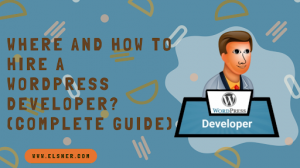 Where and How to Hire a WordPress Developer? (Complete Guide)